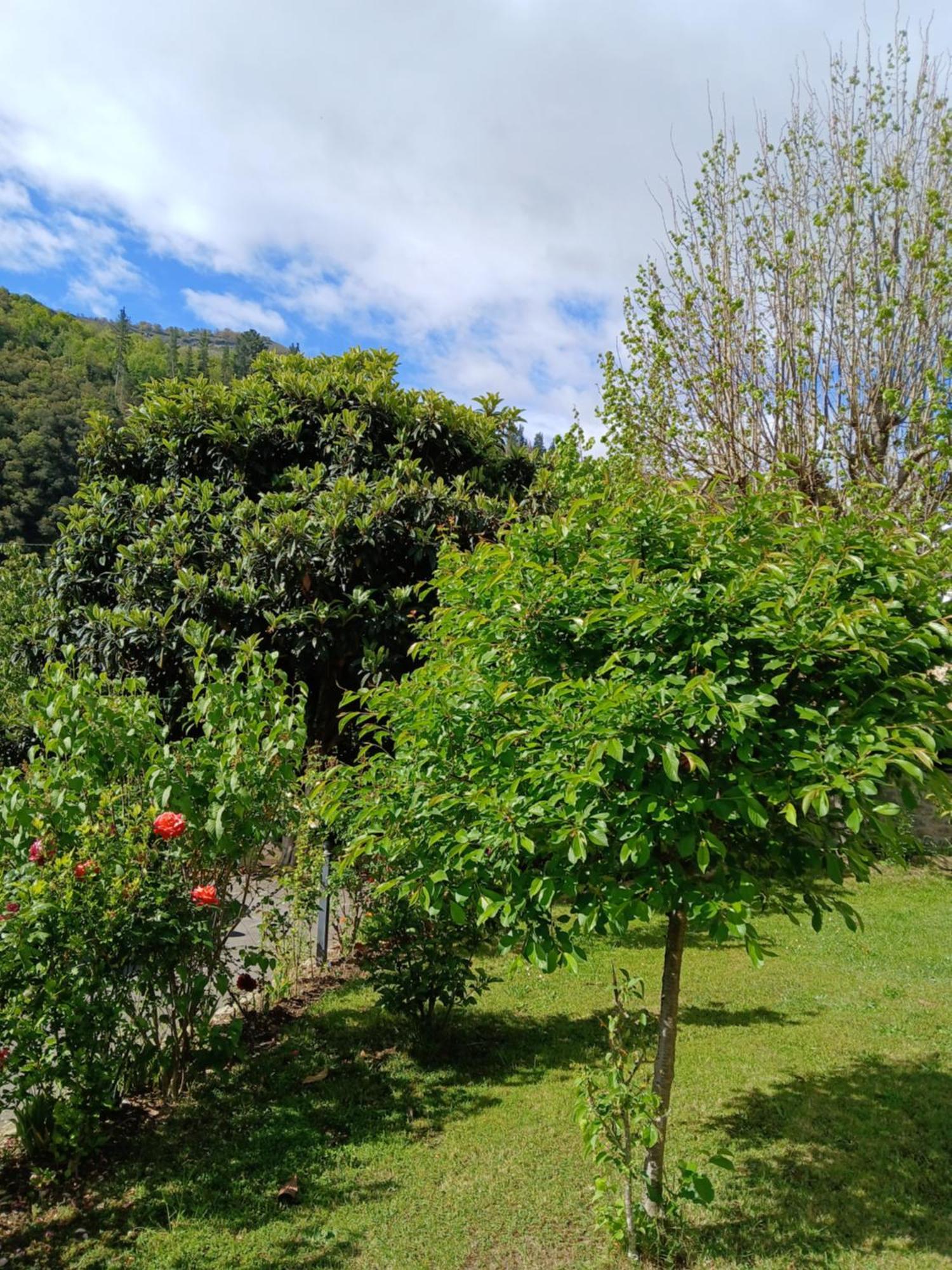 Picos De Europa Suites And Rooms Turieno Buitenkant foto