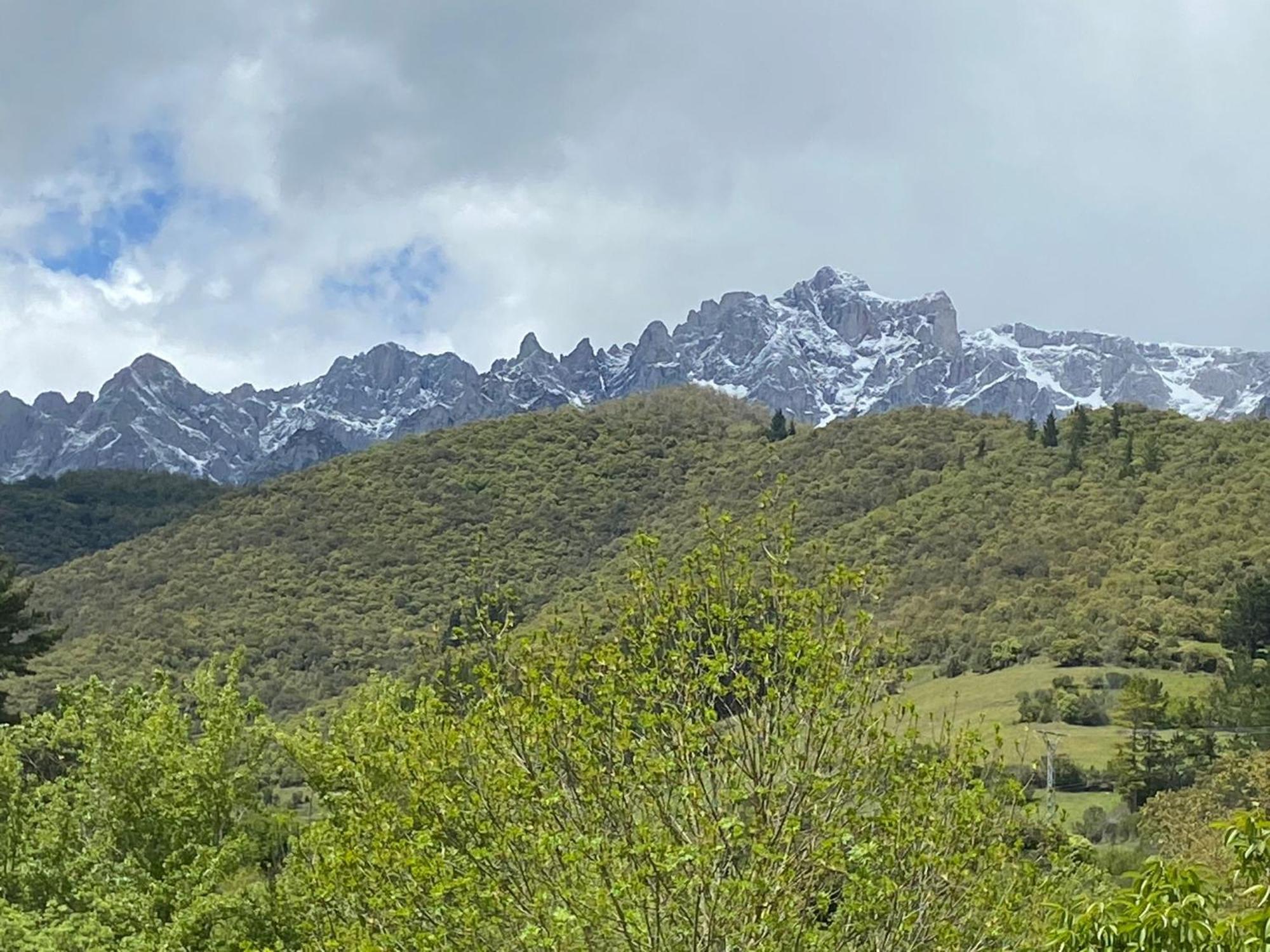 Picos De Europa Suites And Rooms Turieno Buitenkant foto