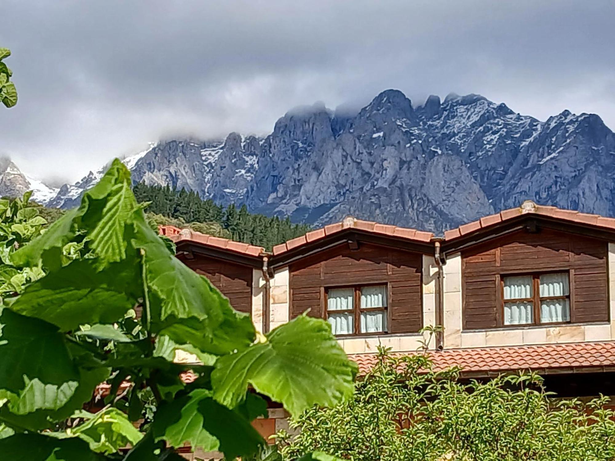 Picos De Europa Suites And Rooms Turieno Buitenkant foto