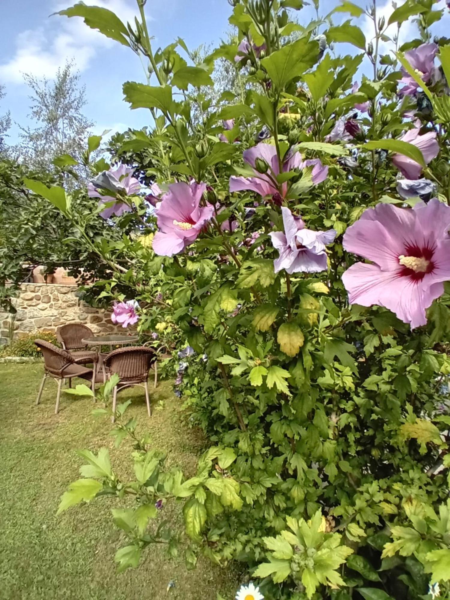 Picos De Europa Suites And Rooms Turieno Buitenkant foto