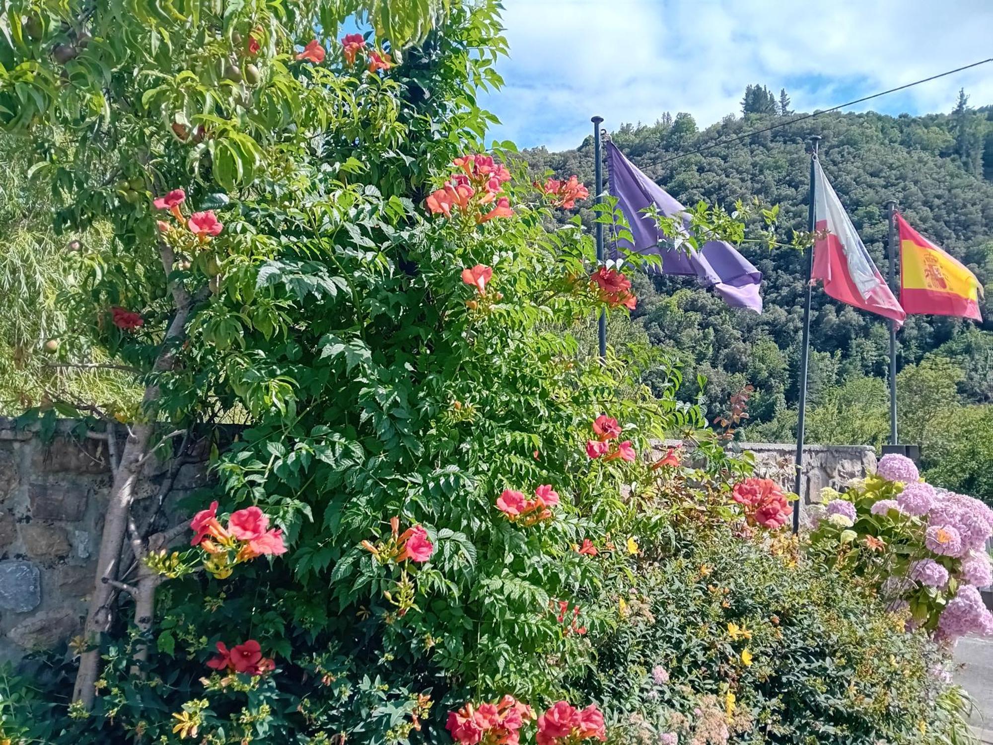 Picos De Europa Suites And Rooms Turieno Buitenkant foto