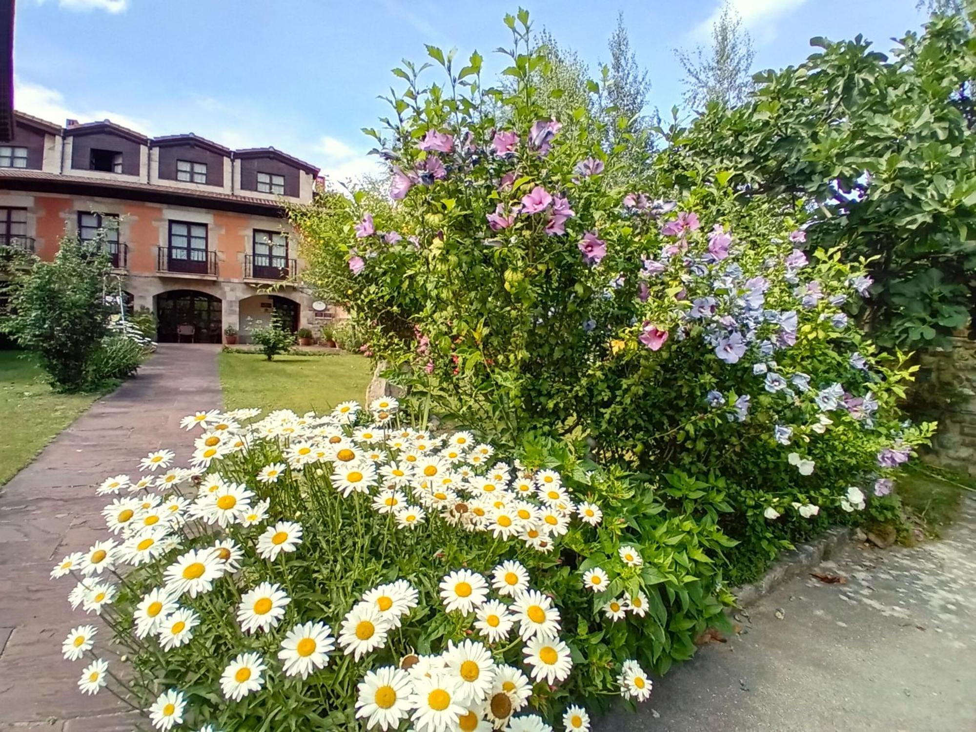 Picos De Europa Suites And Rooms Turieno Buitenkant foto